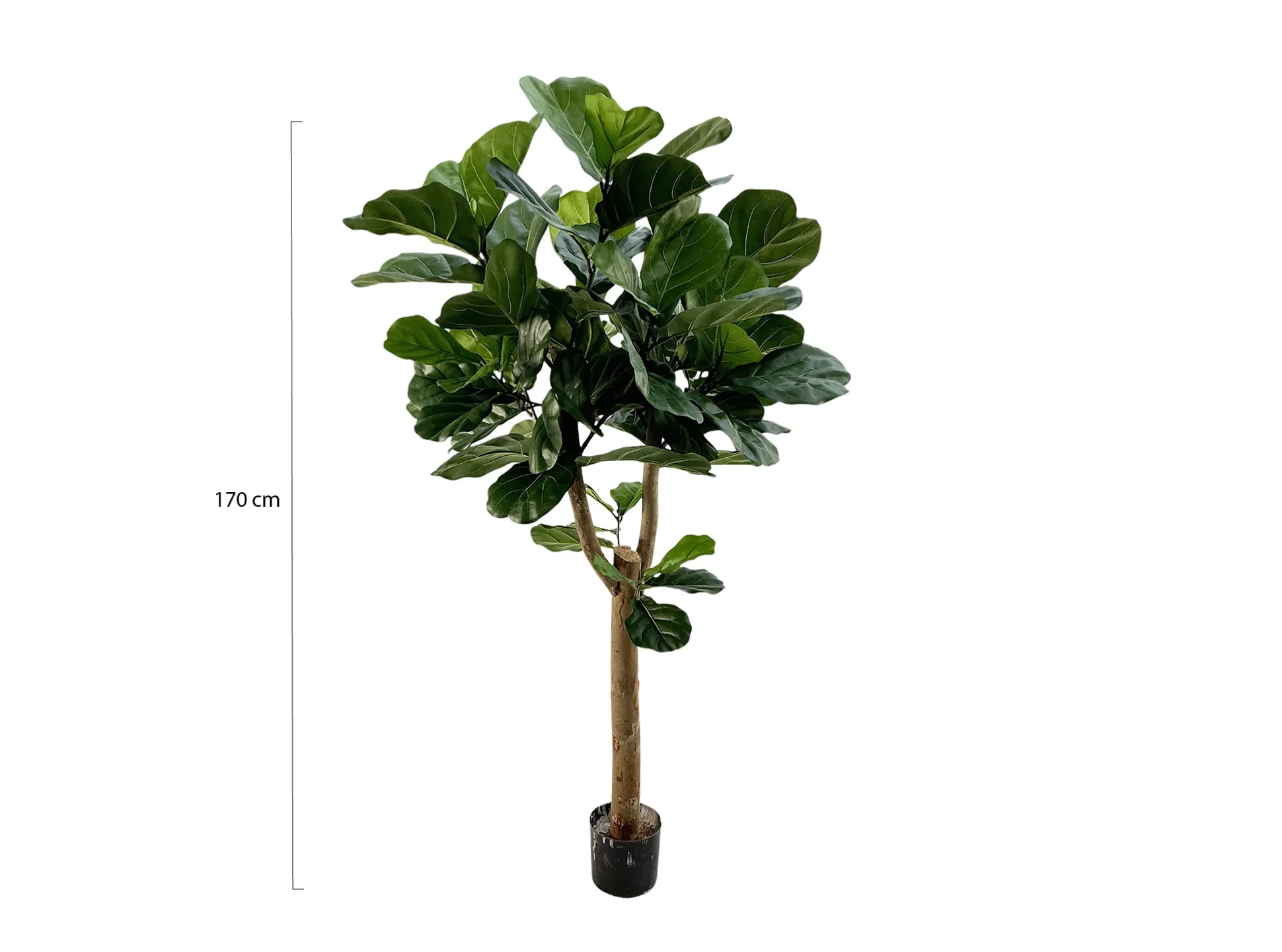 Designplants Lyrata Y kunstboom (h:170cm)