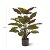 Designplants Red Calathea Makoyana kunstplant (h:60cm)