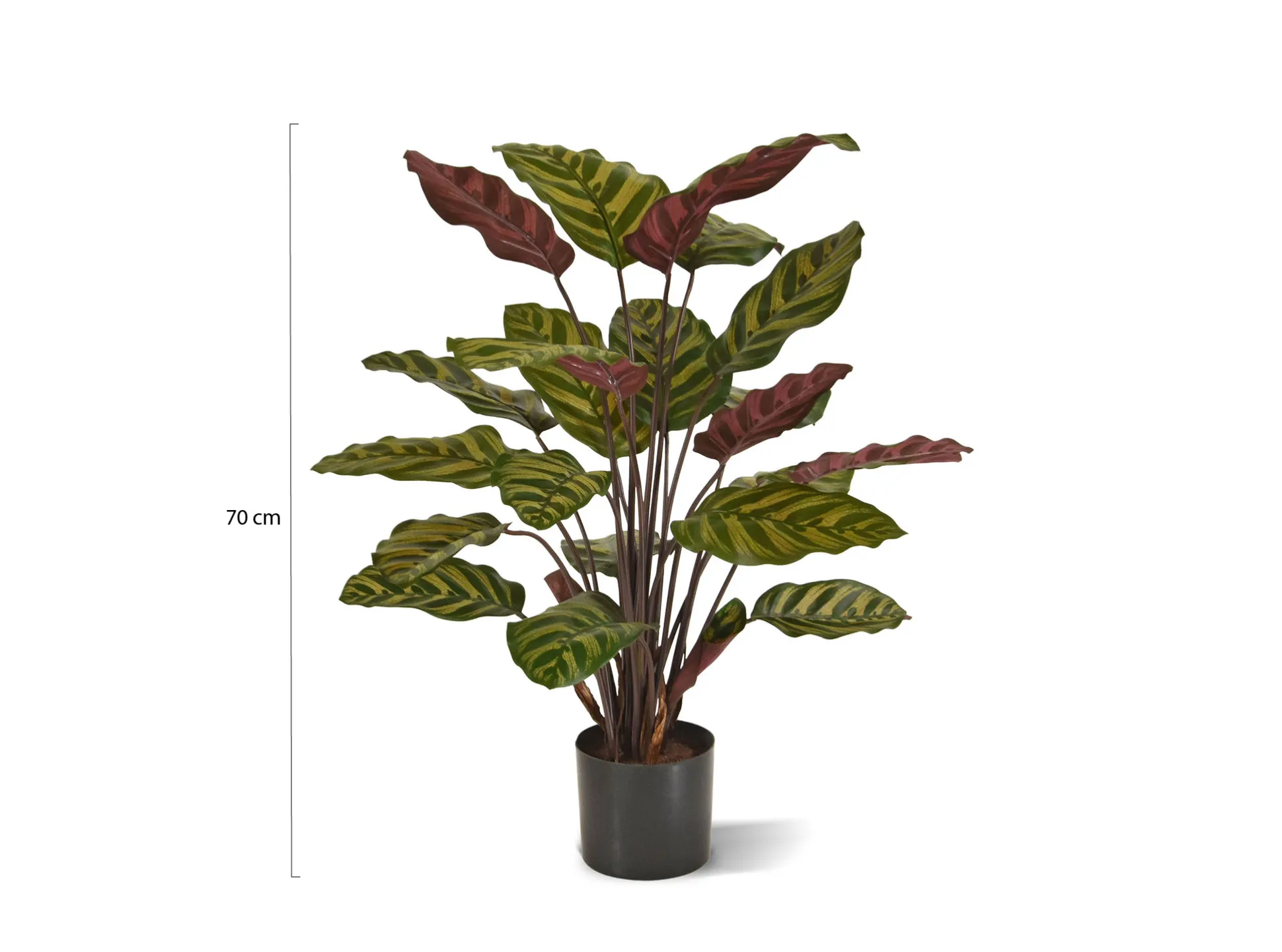 Designplants Red Calathea Makoyana kunstplant (h:60cm)