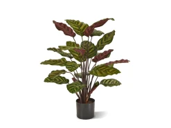 Designplants Red Calathea Makoyana kunstplant (h:60cm)