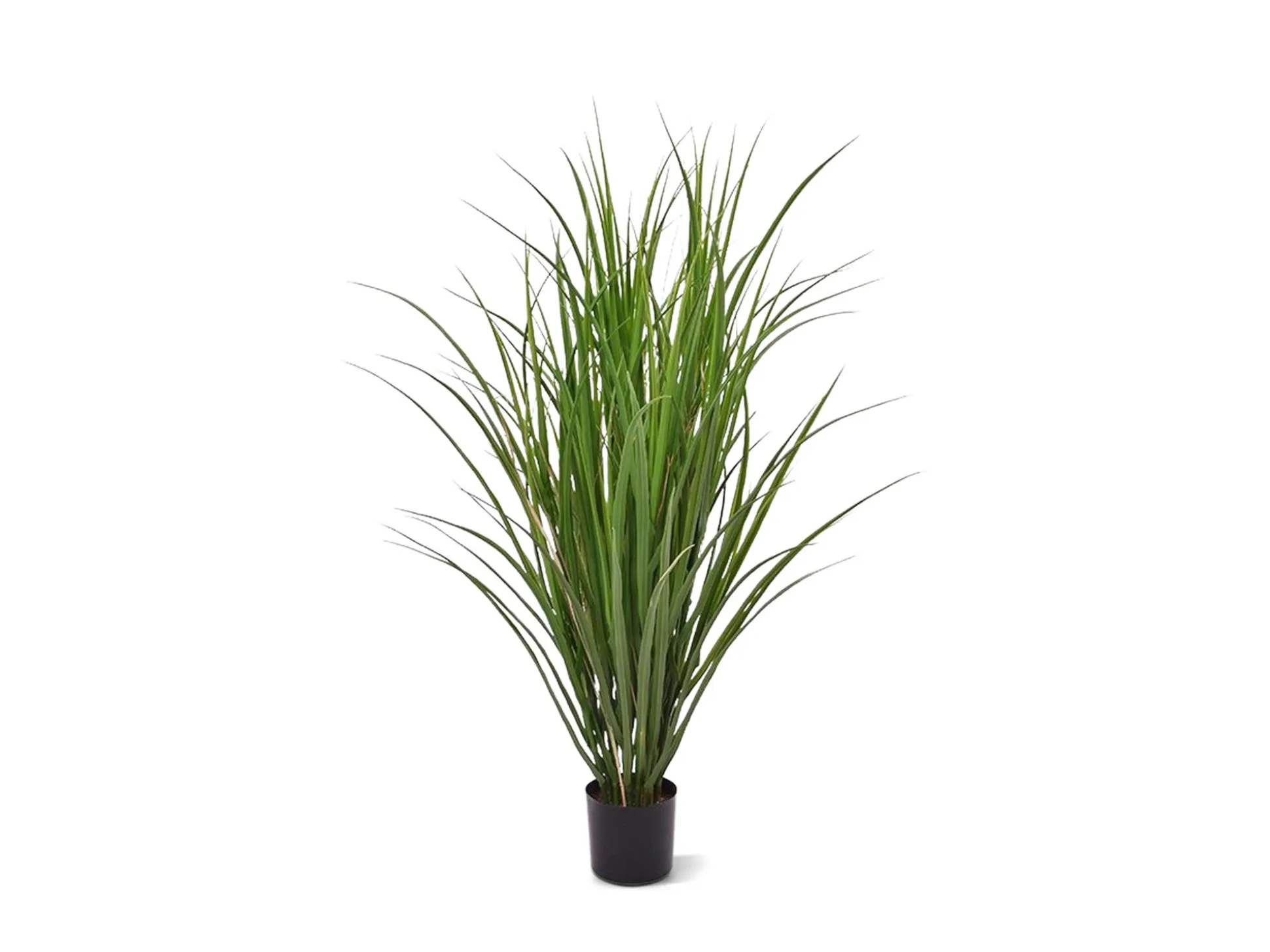 Designplants Rietgras kunstplant (h:100cm)