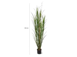 Designplants Rietgras kunstplant (h:165cm)