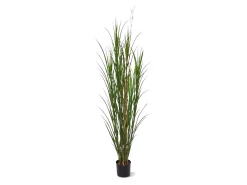Designplants Rietgras kunstplant (h:165cm)