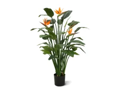 Designplants Strelitzia kunstplant (h:145cm)