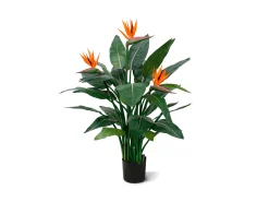 Designplants Strelitzia kunstplant (h:115cm)