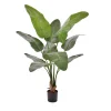 Designplants Strelitzia Nicolai kunstplant (h:145cm)