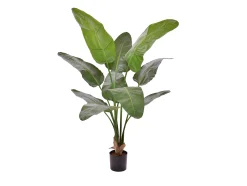 Designplants Strelitzia Nicolai kunstplant (h:145cm)