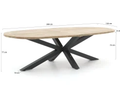 Intenso Asti/Rough-Y Ellips 280cm dining tuinset 9-delig